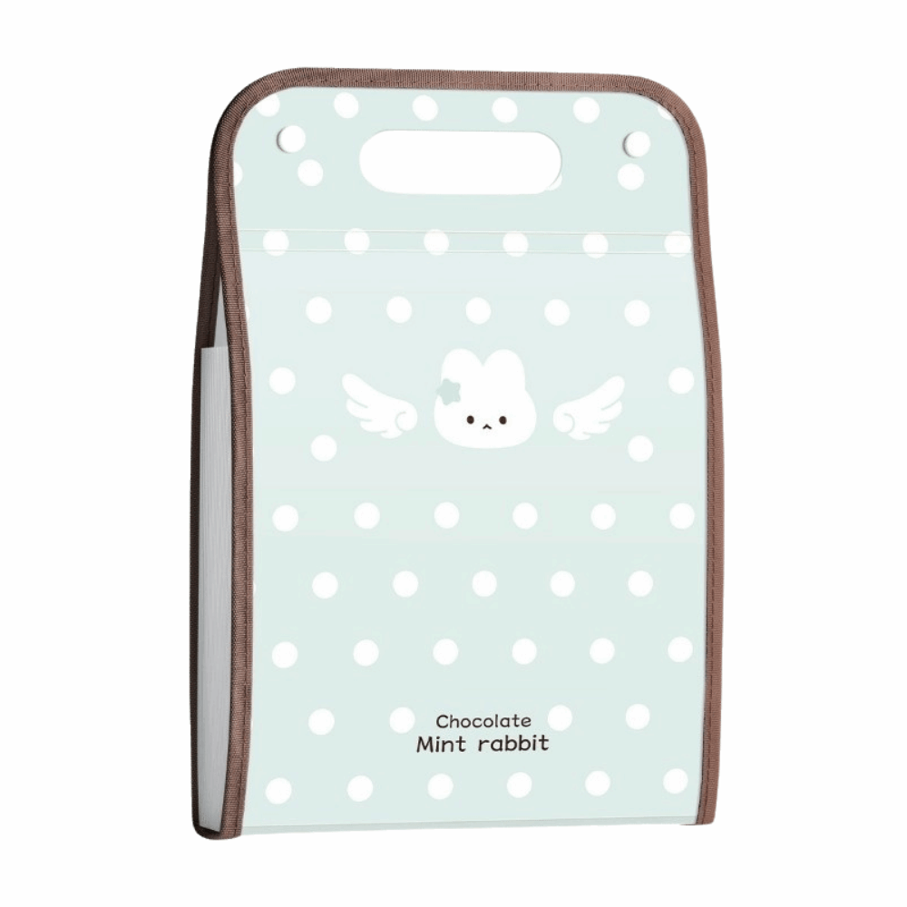 Expandable Accordion File Folder 13 Pockets - Rozszerzalna teczka na dokumenty Polka Point,